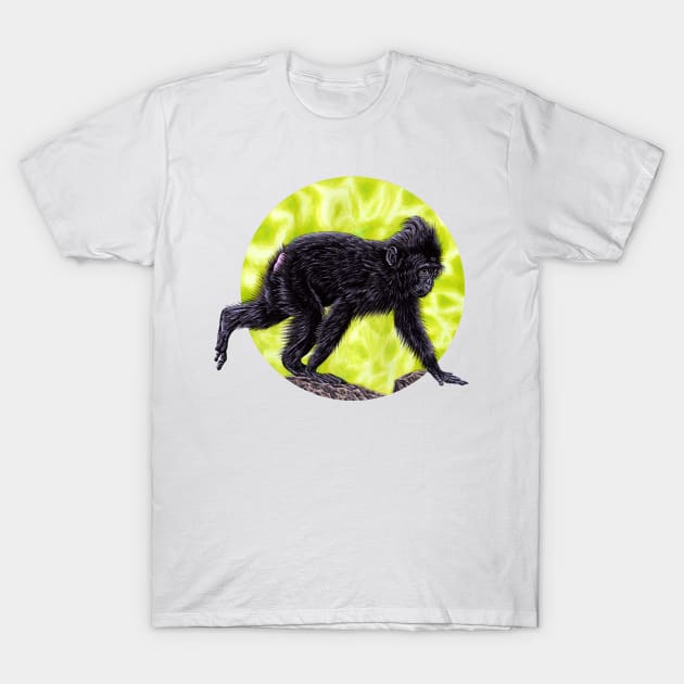 Baby Sulawesi crested macaque monkey T-Shirt by lorendowding